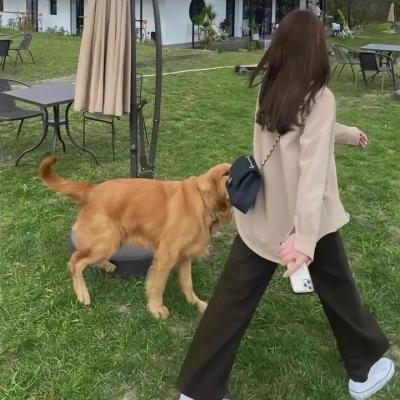 猎杀超自然